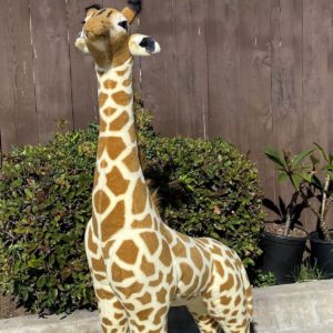 Stuffed Giraffe for Rent