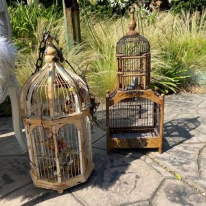 Vintage Bird Cages Rental for Weddings